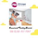 PRO CHICAGO PAINTERS  logo